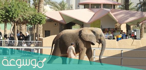 اسعار تذاكر حديقة الحيوان بالرياض 2021