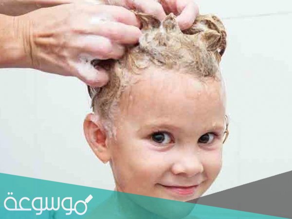 اسم افضل شامبو للقمل مجرب