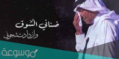 اغنية ضناني الشوق كلمات