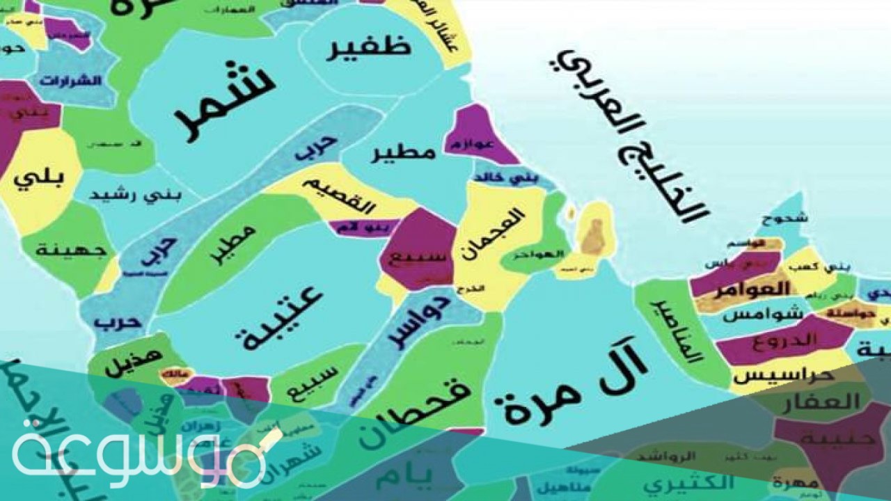 ما هي اكبر قبيلة في الجنوب في المملكة العربية السعودية