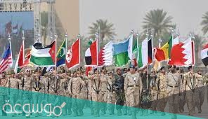 الدول المشاركة في رعد الشمال