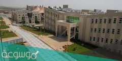 اين تقع جامعة الملك خالد