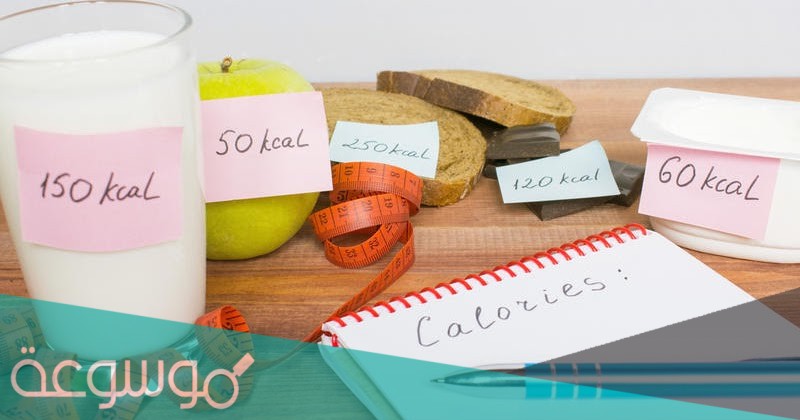 حساب احتياج الجسم من البروتين والكارب والدهون