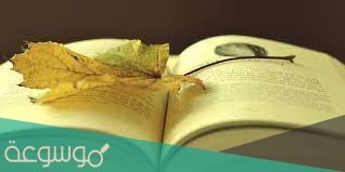 رواية سليم ورهف