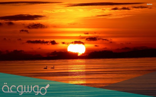 شيلة كل ما شمس العصر قامت تمايل كلمات