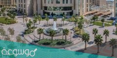 تخصصات جامعة الامام عبدالرحمن بن فيصل
