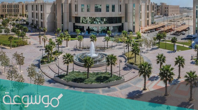 تخصصات جامعة الامام عبدالرحمن بن فيصل