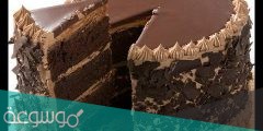 طريقة عمل كيكة الشوكولاتة البسيطة