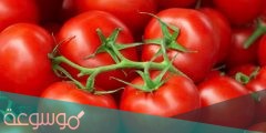 هل تعتبر الطماطم من الفواكه