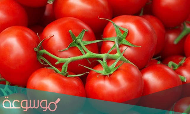 هل تعتبر الطماطم من الفواكه