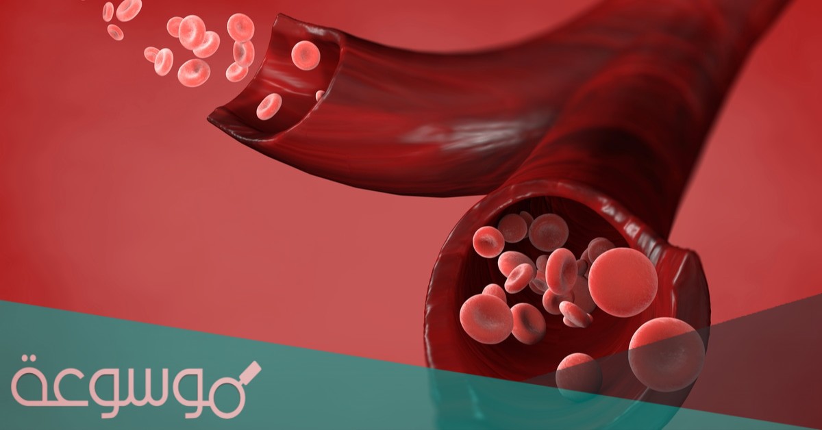 كم لتر من الدم في جسم الانسان الطبيعي