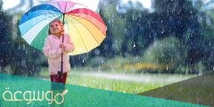 لماذا يوجد للمطر أكثر من رائحة