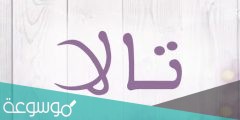ما معنى اسم تالا في الاسلام ، حكم تسمية اسم تالا