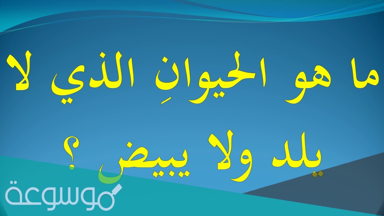 ما هو الحيوان الذي لا يلد ولا يبيض