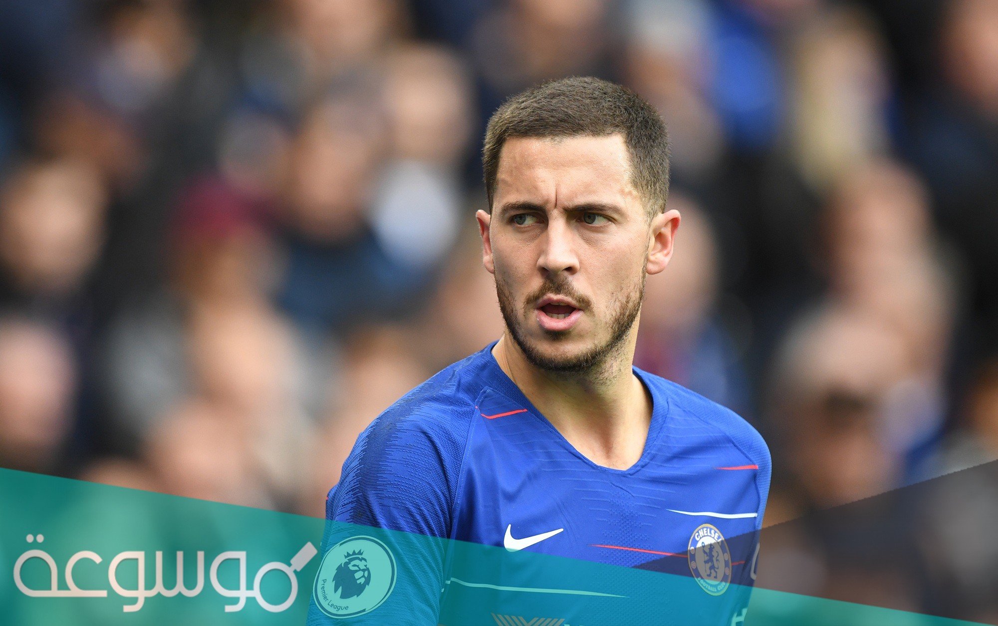 ما هي ديانة هازارد