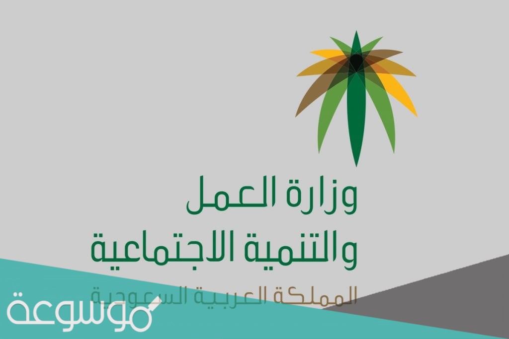 ما هي شروط الضمان الاجتماعي الجديده