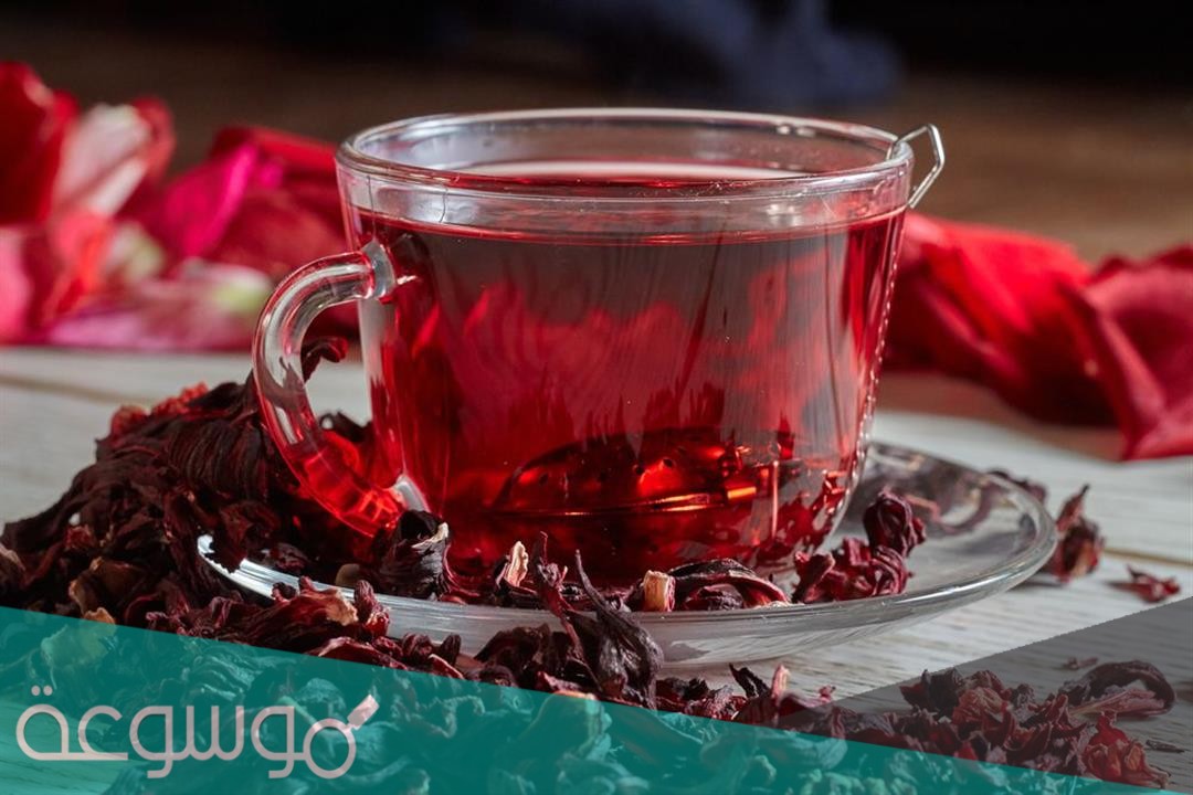 ما هي فوائد الكركديه الساخن للشعر والبشرة والجسم والوقاية من الأمراض