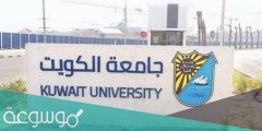 ما هي كليات جامعة الكويت ونسب القبول بالتفصيل 2020-2022