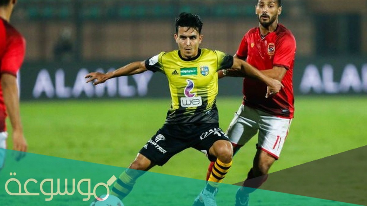 من هو محمد مجلي السيرة الذاتية ويكيبيديا