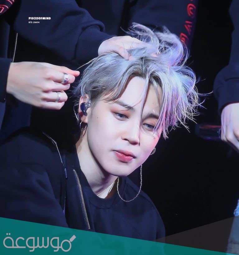 هل جيمين متزوج روزي