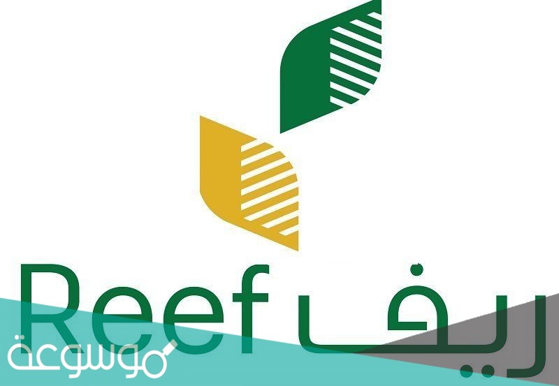 هل دعم ريف يؤثر على الضمان الاجتماعي