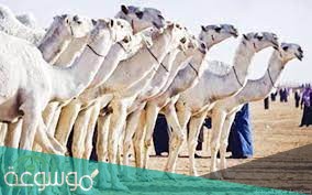 يالله انا طالبك حمر هوى بالي