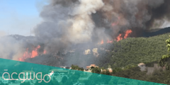 سبب حريق في القبيات شمال لبنان