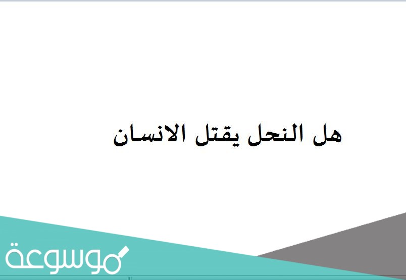 هل النحل يقتل الانسان