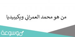 من هو محمد العمراني ويكيبيديا