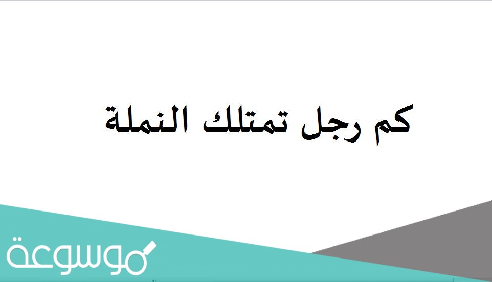 كم رجل تمتلك النملة