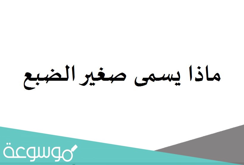 ماذا يسمى صغير الضبع