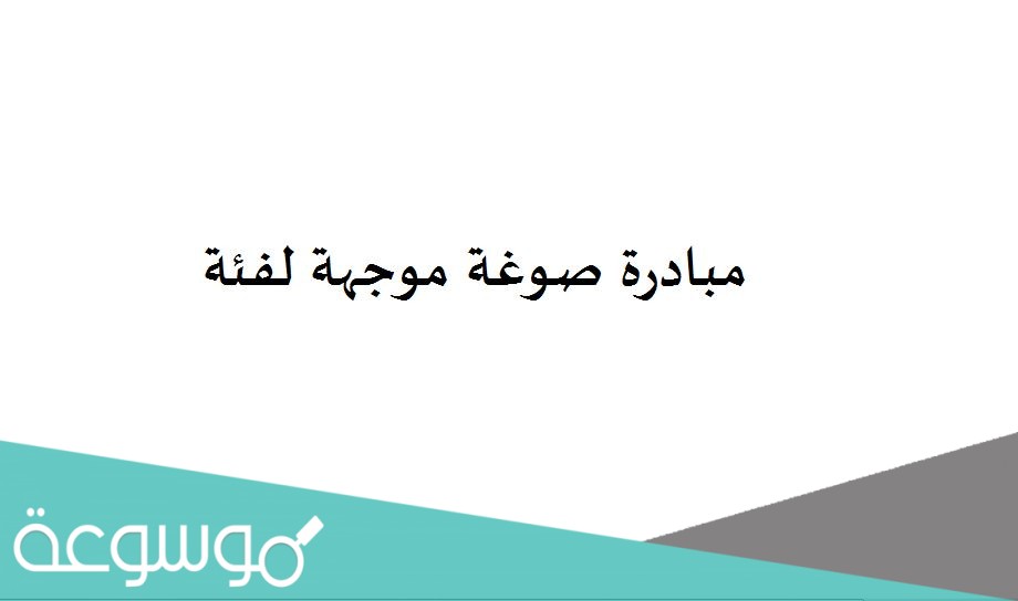 مبادرة صوغة موجهة لفئة