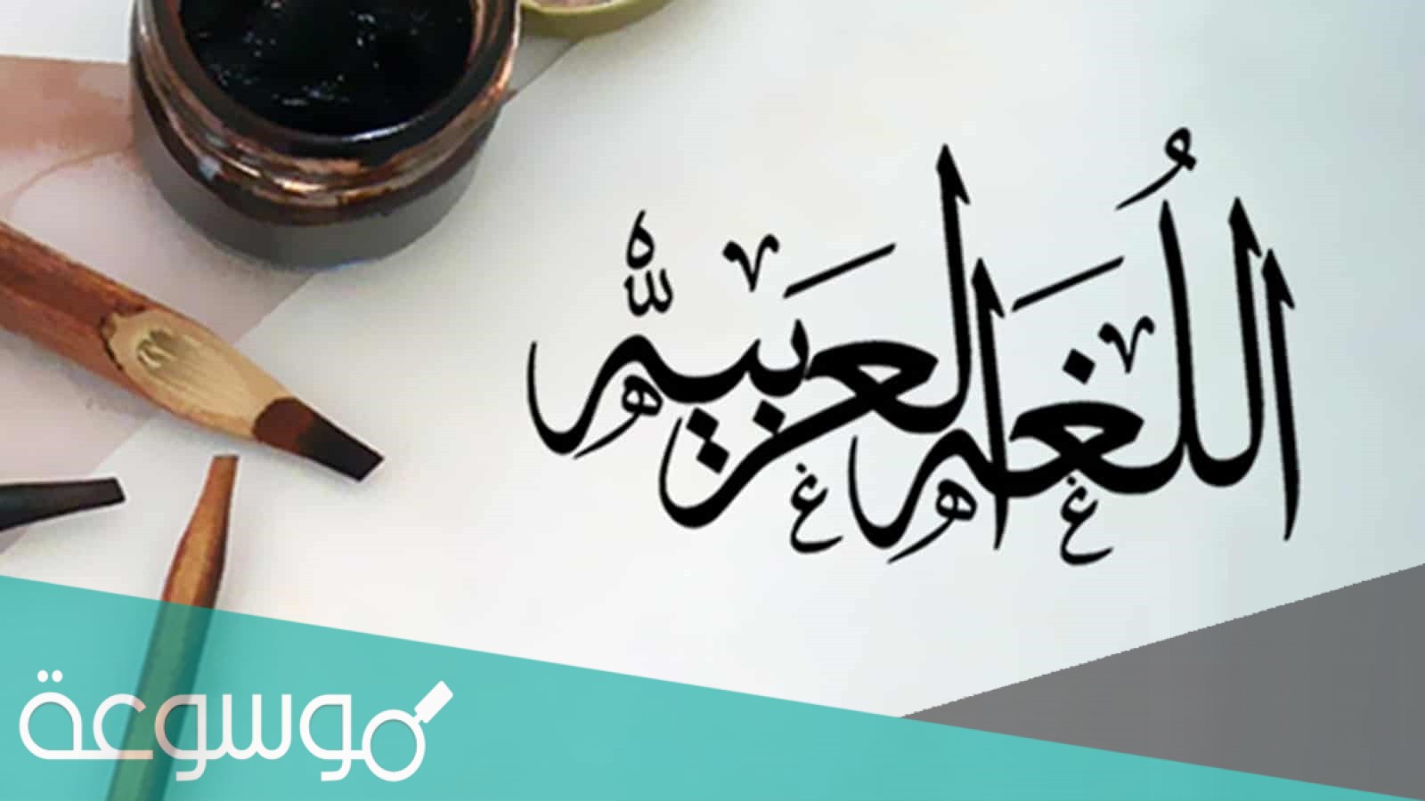 لماذا سميت الافعال الناسخة بهذا الاسم