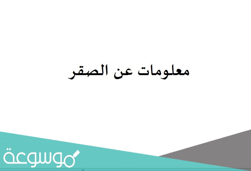 معلومات عن الصقر