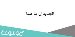 الجديدان ما هما