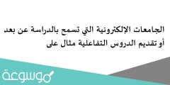الجامعات الإلكترونية التي تسمح بالدراسة عن بعد أو تقديم الدروس التفاعلية مثال على