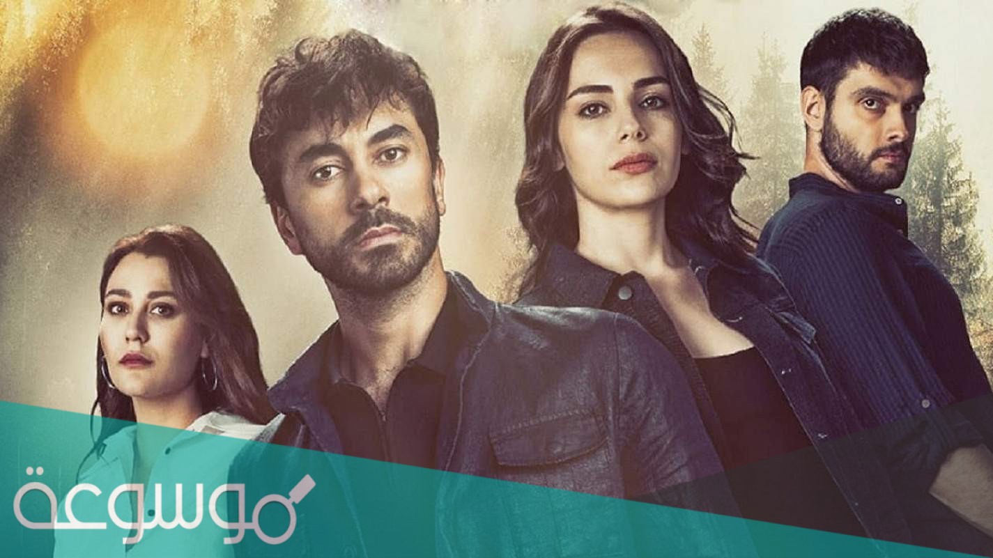 عرض مسلسل جرح القلب