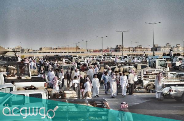 مواقع بيع الاضاحي المؤقته في الرياض 2021 وحجز موعد فيها