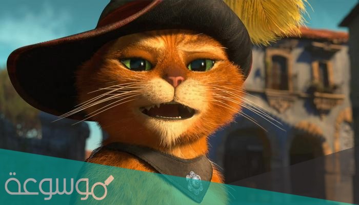 القطه الشرسه مثلت في فيلم