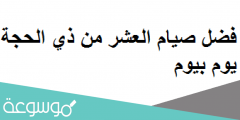 فضل صيام العشر من ذي الحجة يوم بيوم