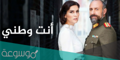 قصة مسلسل انت وطني ويكيبيديا