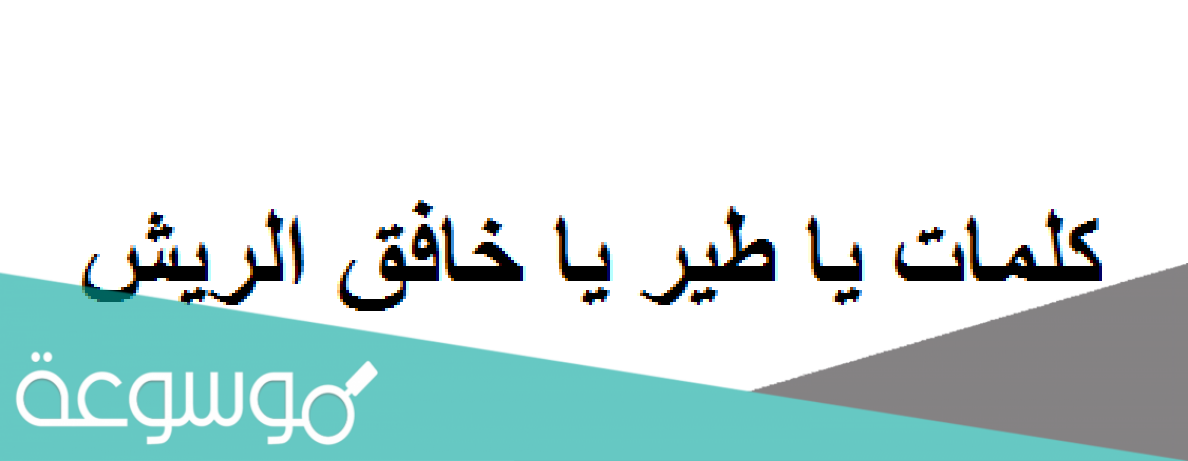 يا طير يا خافق الريش