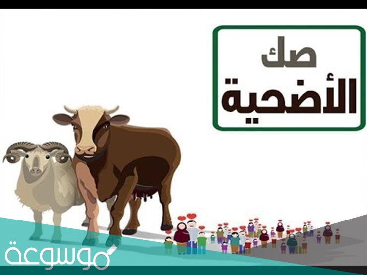 صك الاضحية فى السعودية