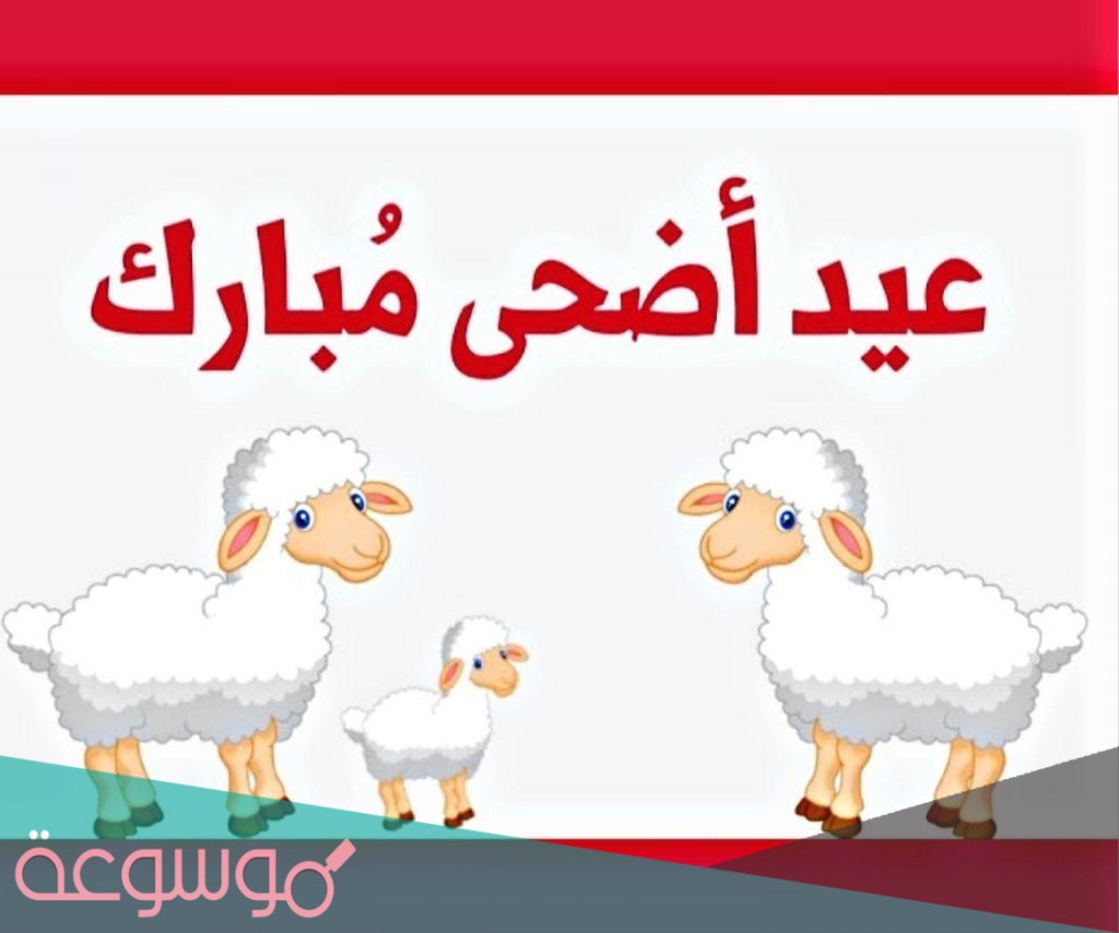 اجمل الصور لعيد الاضحى المبارك