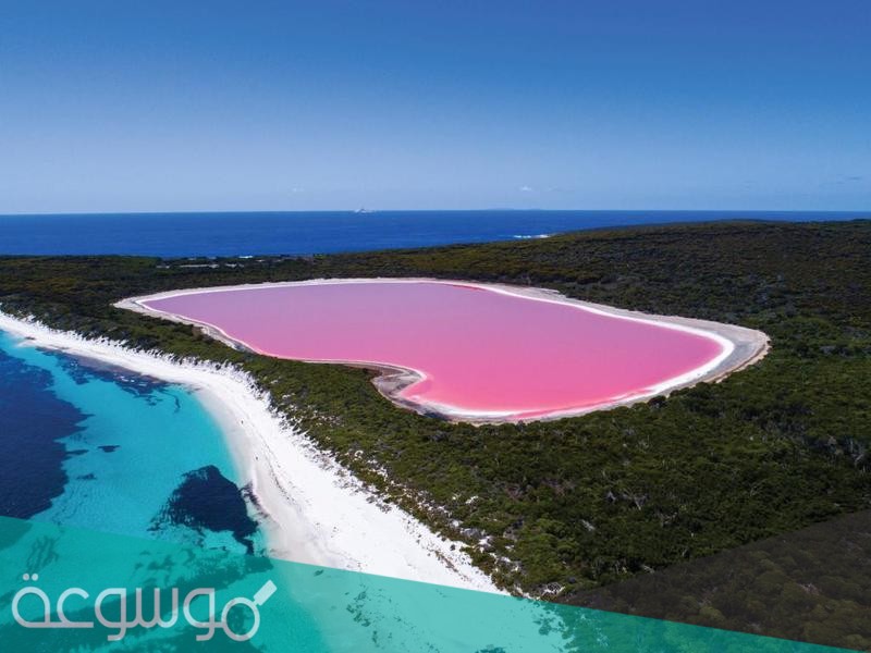 اين تقع البحيرة الوردية