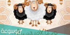 كروت معايدة عيد الاضحى 2022 واجمل صور التهاني وبطاقات التهنئة 1442
