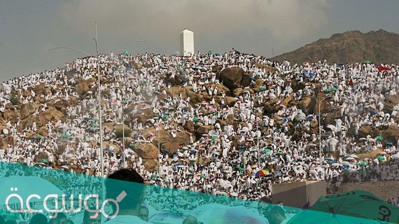 هل الوقوف بعرفة ركن من أركان الحج