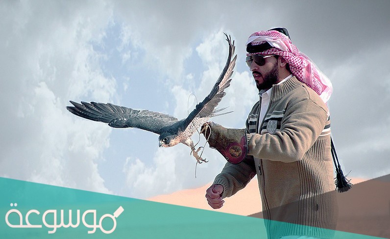 ياطير ياخافق الريش