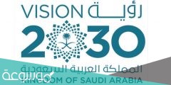 التخصصات المطلوبة في السعودية 2030