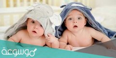 لماذا سمي التوأم السيامي بهذا الاسم